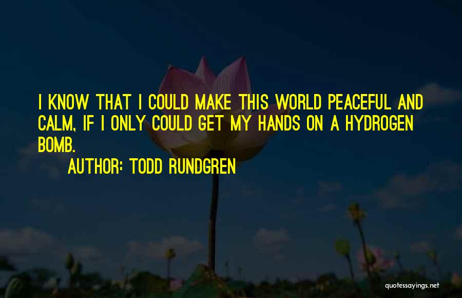 Todd Rundgren Quotes 2064983