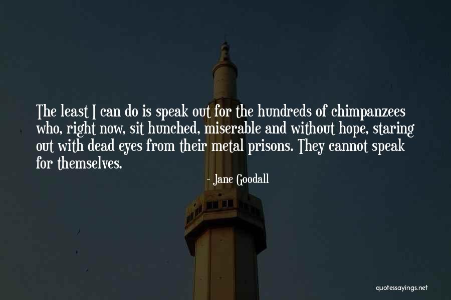 Toddler Love Quotes By Jane Goodall Toddler Love Quotes By Jane Goodall