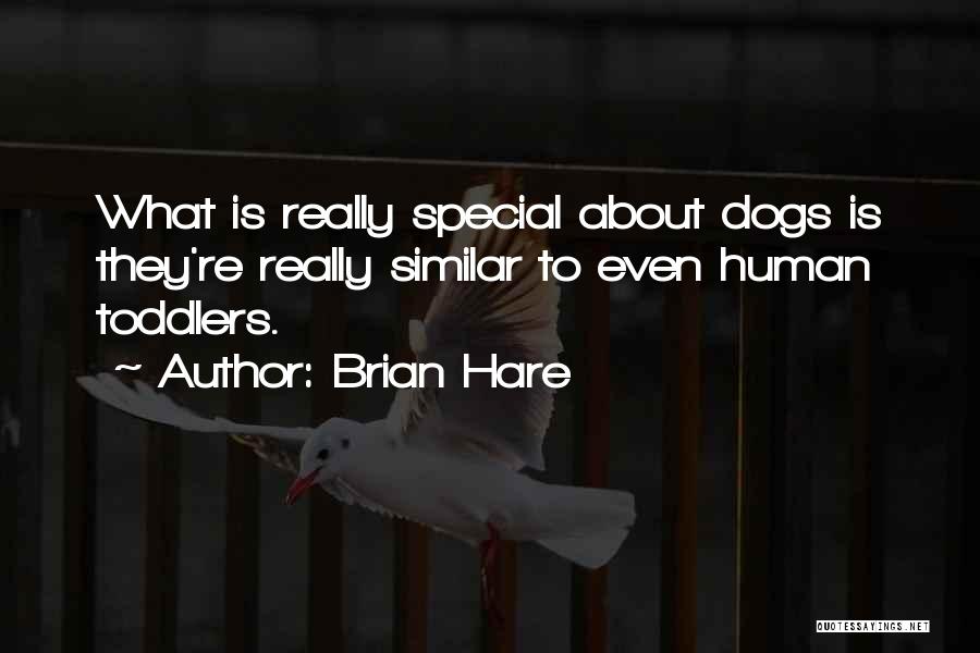 Toddler Quotes By Brian Hare