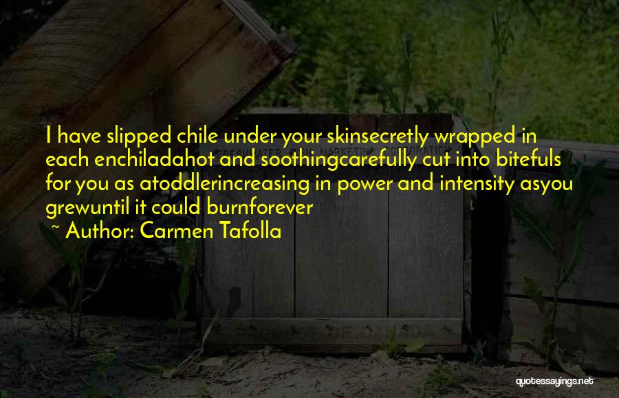 Toddler Quotes By Carmen Tafolla