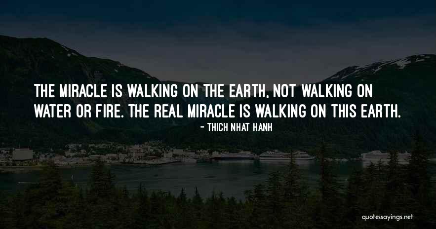 Todescas Quotes By Thich Nhat Hanh Todescas Quotes By Thich Nhat Hanh