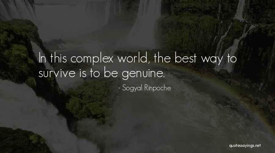 Todestag English Quotes By Sogyal Rinpoche Todestag English Quotes By Sogyal Rinpoche