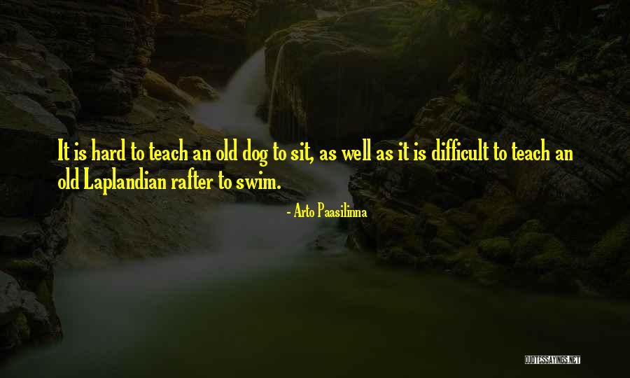 Todorovden Quotes By Arto Paasilinna Todorovden Quotes By Arto Paasilinna