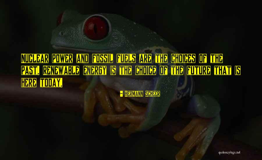 Todos Los Santos Quotes By Hermann Scheer