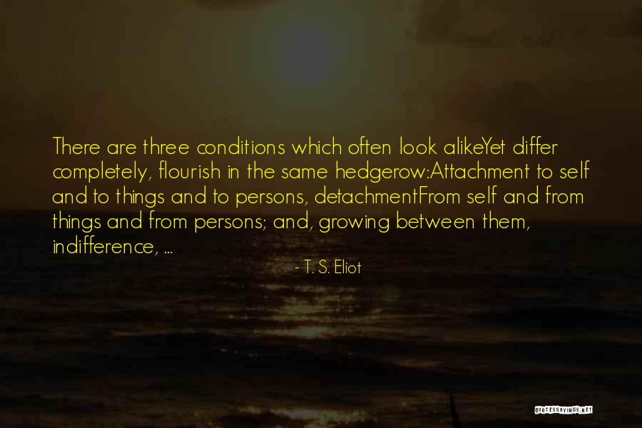 Todos Somos Humanos Quotes By T. S. Eliot Todos Somos Humanos Quotes By T. S. Eliot