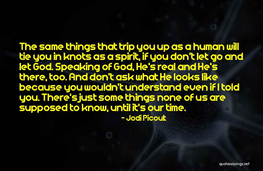 Toe Jams Honolulu Quotes By Jodi Picoult Toe Jams Honolulu Quotes By Jodi Picoult