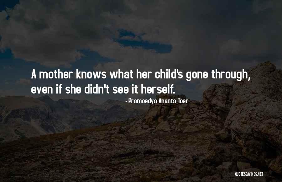 Toer Quotes By Pramoedya Ananta Toer Toer Quotes By Pramoedya Ananta Toer