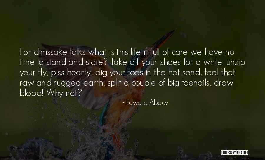 Toes In Sand Quotes By Edward Abbey