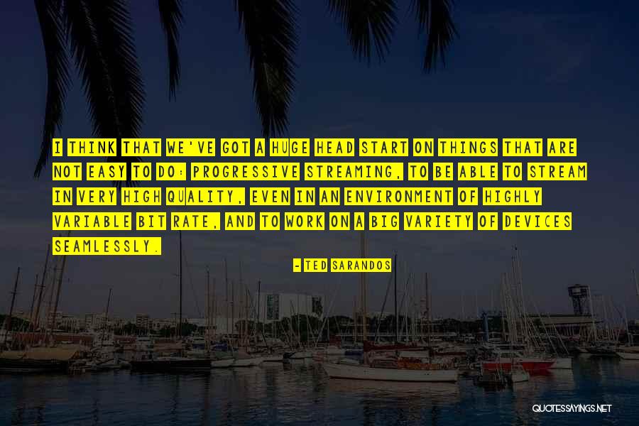 Toestellen Quotes By Ted Sarandos Toestellen Quotes By Ted Sarandos