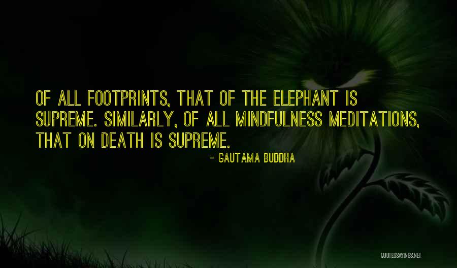 Toevallig Realisme Quotes By Gautama Buddha Toevallig Realisme Quotes By Gautama Buddha
