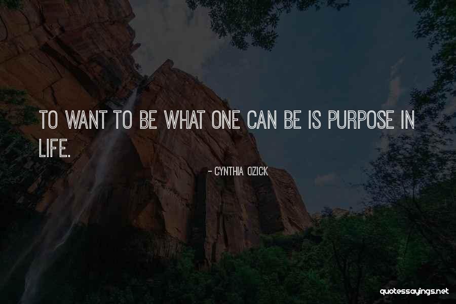 Toevalsveranderlijke Quotes By Cynthia Ozick Toevalsveranderlijke Quotes By Cynthia Ozick