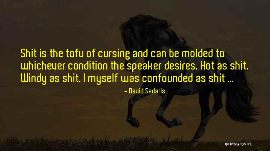 Tofu Quotes By David Sedaris