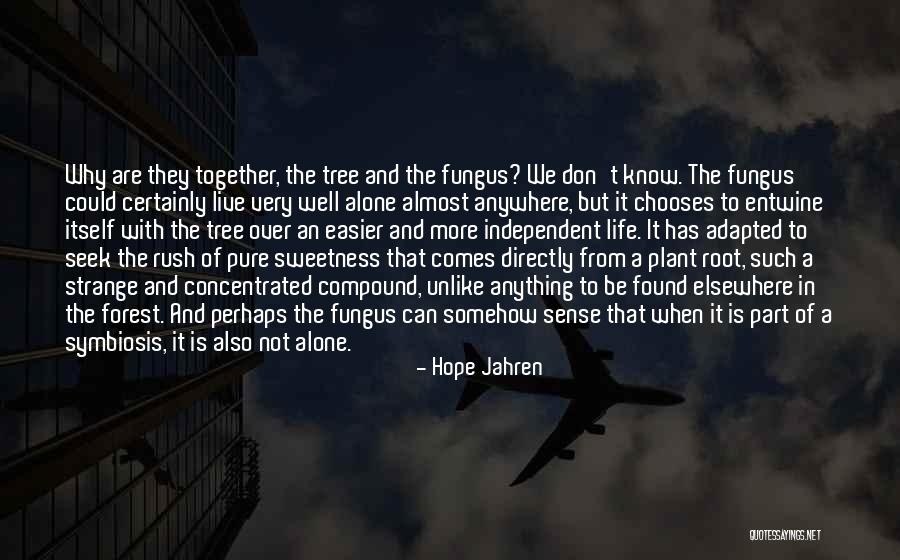 Together But Alone Quotes By Hope Jahren Together But Alone Quotes By Hope Jahren