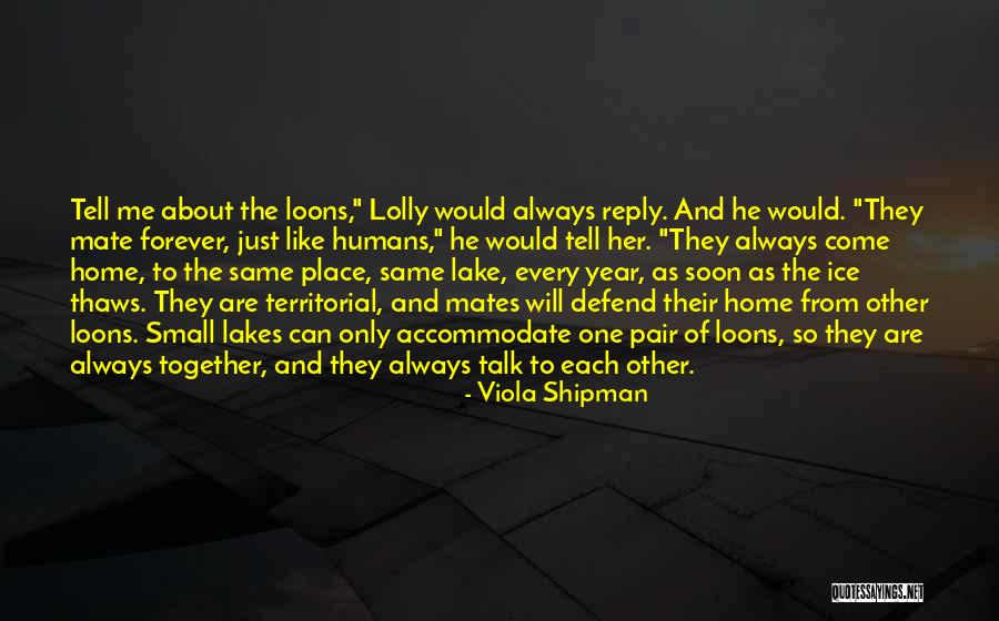 Together Forever And Always Quotes By Viola Shipman Together Forever And Always Quotes By Viola Shipman