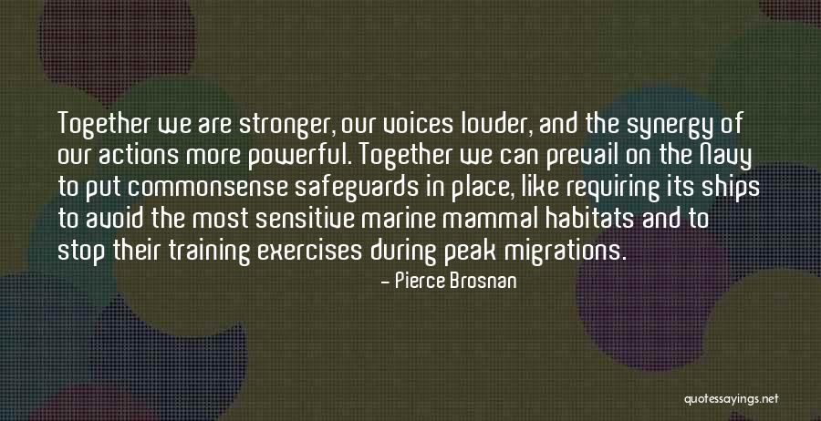 Together Stronger Quotes By Pierce Brosnan Together Stronger Quotes By Pierce Brosnan
