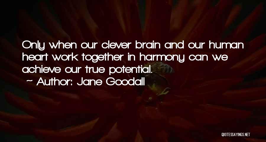 Together We Can Achieve More Quotes By Jane Goodall