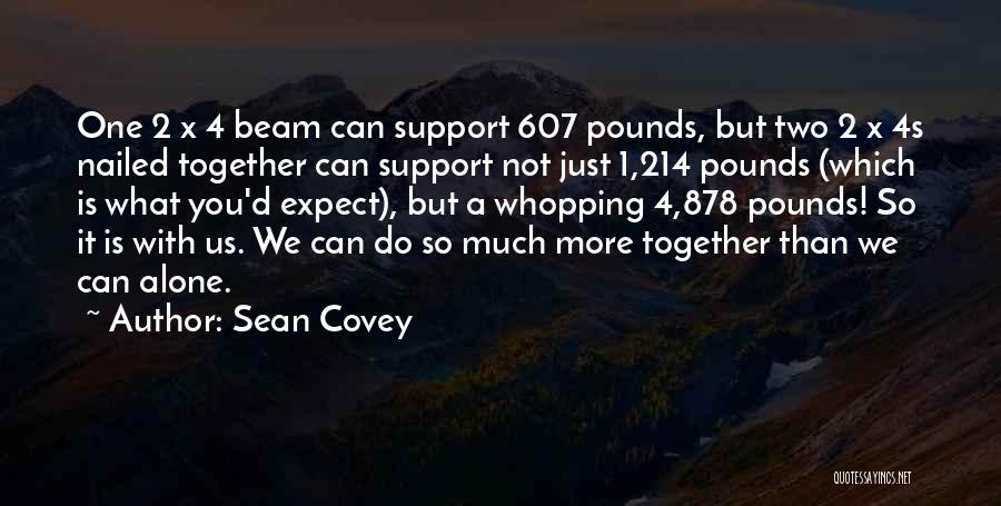 Together We Can Do More Quotes By Sean Covey