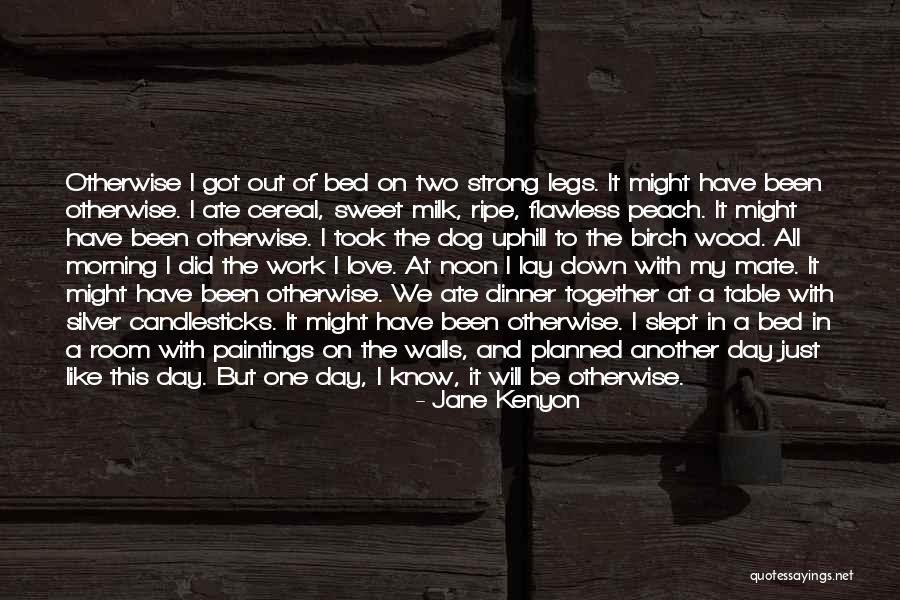 Together We Got This Quotes By Jane Kenyon Together We Got This Quotes By Jane Kenyon
