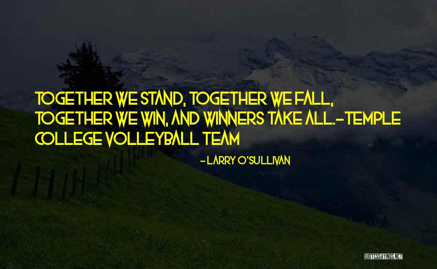 Together We Stand Together We Fall Quotes By Larry O'Sullivan