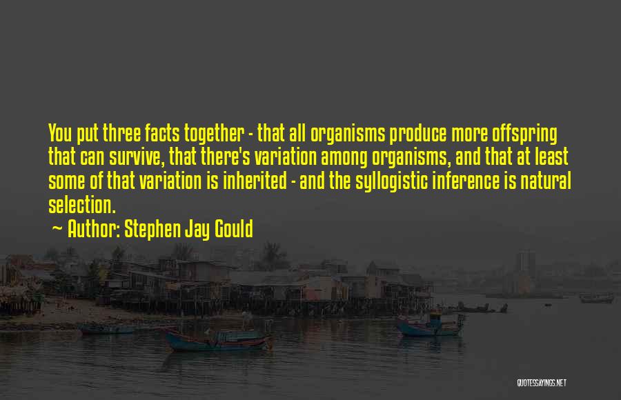 Together We Will Survive Quotes By Stephen Jay Gould