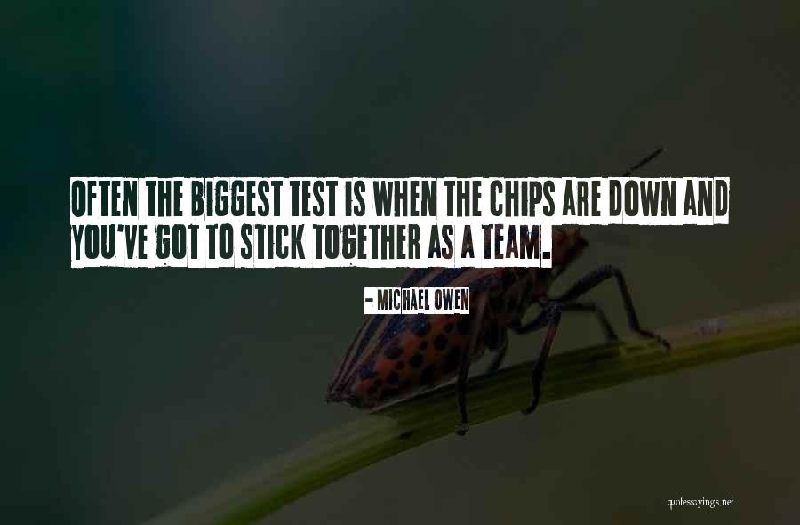 Together Were A Team Quotes By Michael Owen