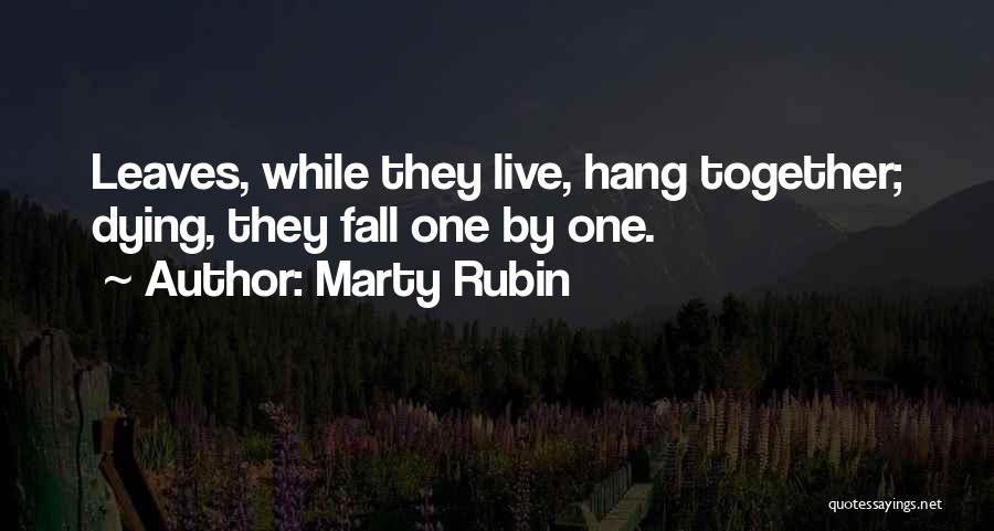Togetherness Quotes By Marty Rubin
