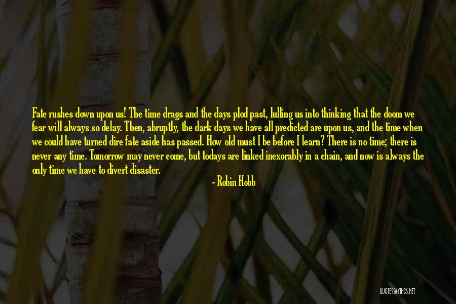 Toggie Mongrue Quotes By Robin Hobb Toggie Mongrue Quotes By Robin Hobb