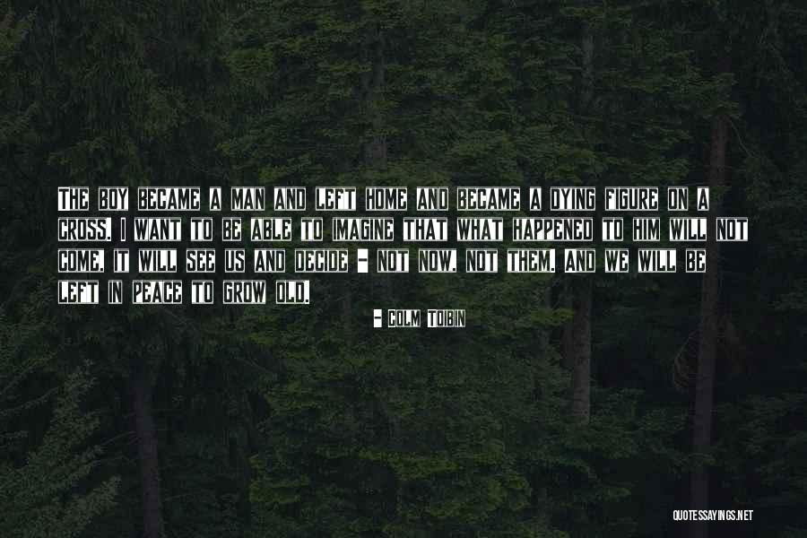 Toibin Colm Quotes By Colm Toibin Toibin Colm Quotes By Colm Toibin