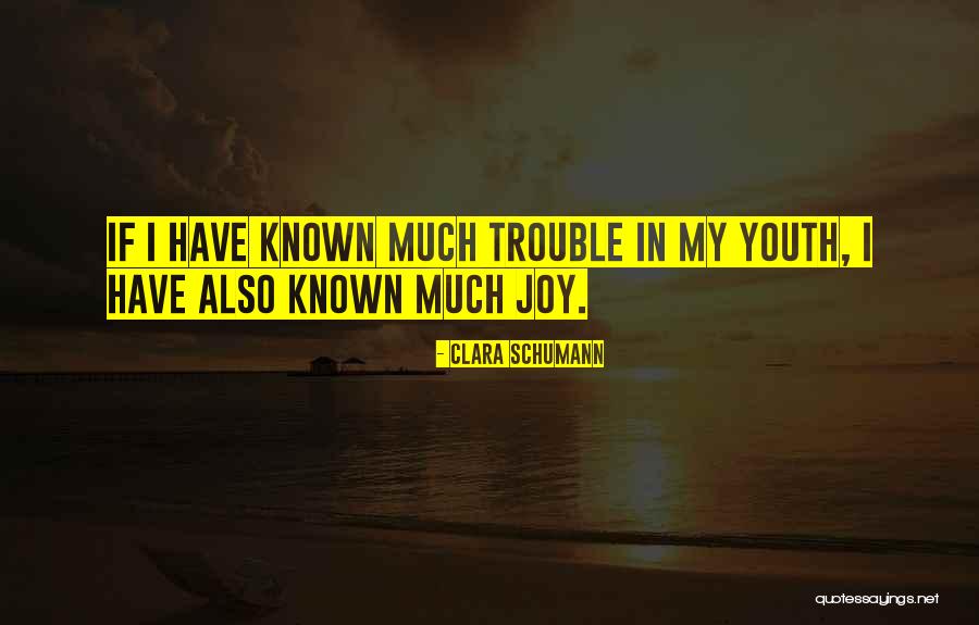Toidenkochi Quotes By Clara Schumann Toidenkochi Quotes By Clara Schumann