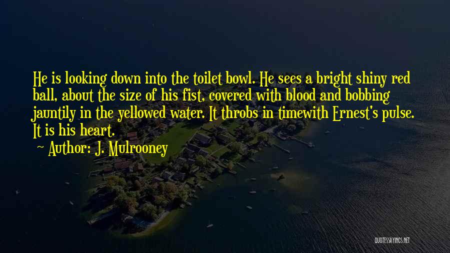 Toilet Bowl Quotes By J. Mulrooney