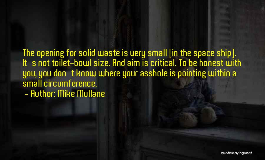 Toilet Bowl Quotes By Mike Mullane