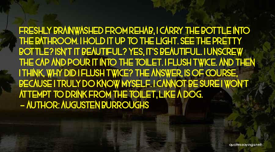 Toilet Flush Quotes By Augusten Burroughs