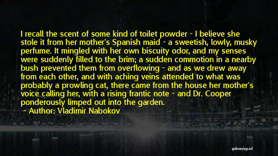 Toilet Quotes By Vladimir Nabokov