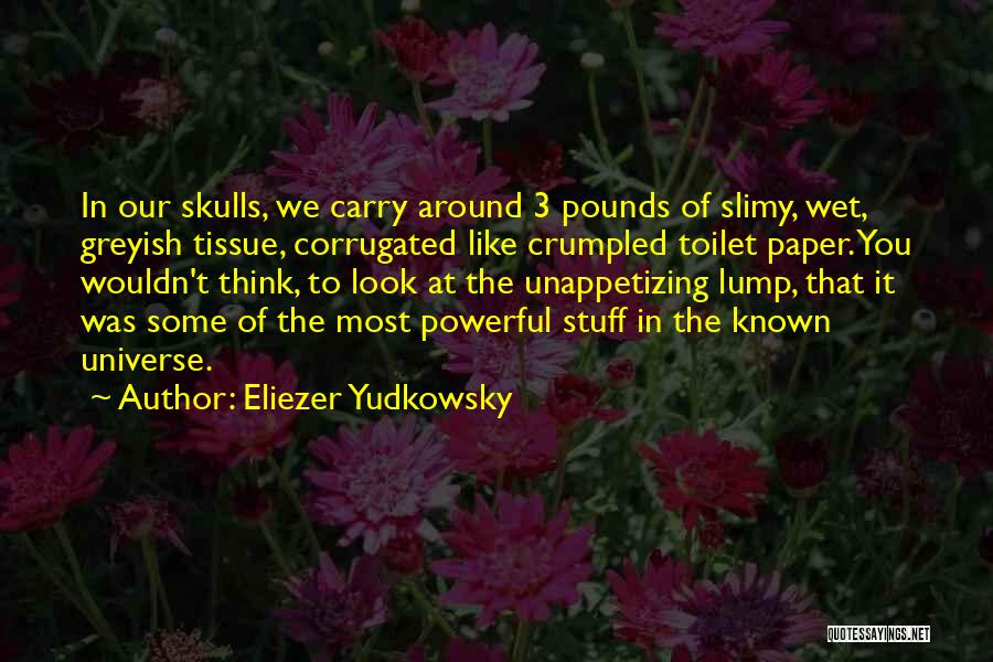 Toilet Tissue Quotes By Eliezer Yudkowsky