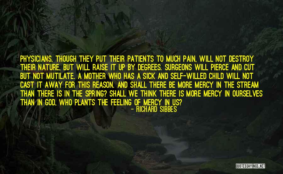 Toilsome Hill Quotes By Richard Sibbes Toilsome Hill Quotes By Richard Sibbes