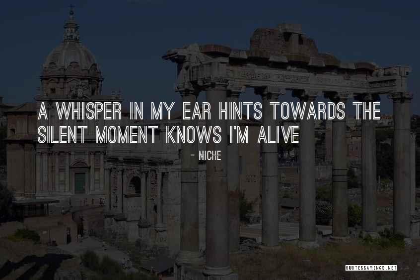 Toilworn Thea Quotes By Niche