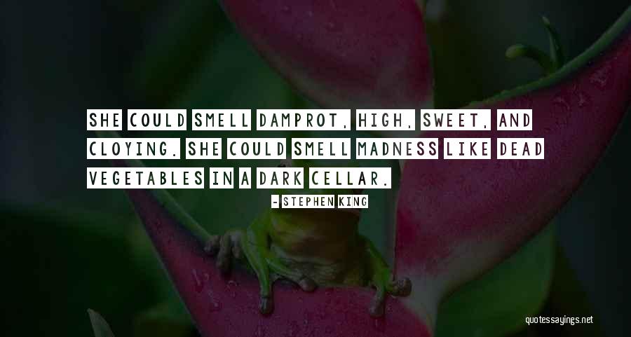 Toking Teepee Quotes By Stephen King Toking Teepee Quotes By Stephen King