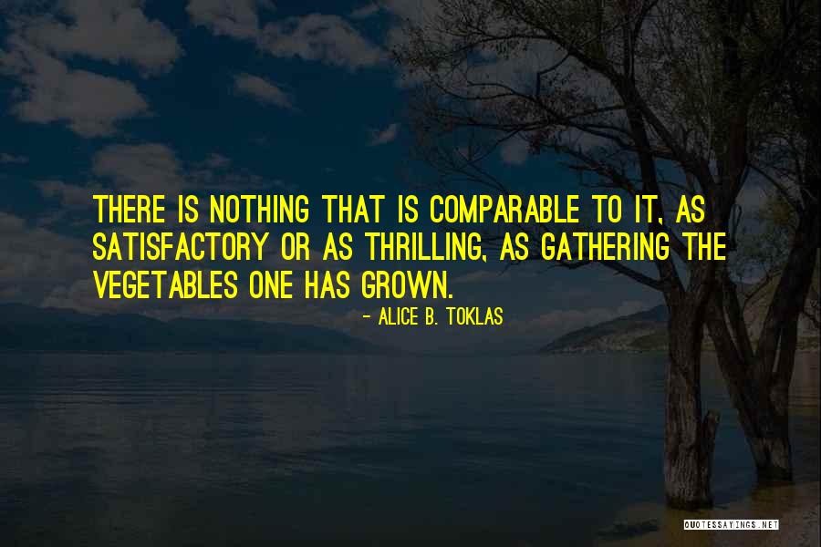 Toklas Alice Quotes By Alice B. Toklas Toklas Alice Quotes By Alice B. Toklas