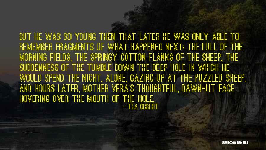 Tokuma Nishioka Quotes By Tea Obreht Tokuma Nishioka Quotes By Tea Obreht