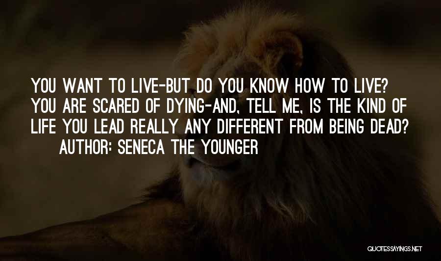 Tokunboh Adeyemo Quotes By Seneca The Younger