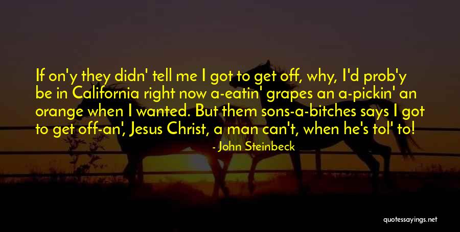 Tol Quotes By John Steinbeck Tol Quotes By John Steinbeck