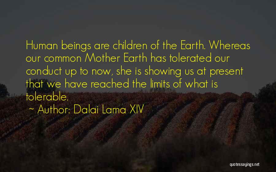 Tolerable Quotes By Dalai Lama XIV