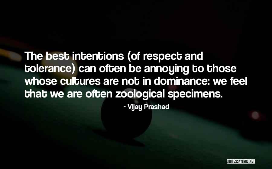 Tolerance And Respect Quotes By Vijay Prashad