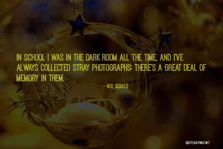 Tolerancija Definicija Quotes By W.G. Sebald Tolerancija Definicija Quotes By W.G. Sebald