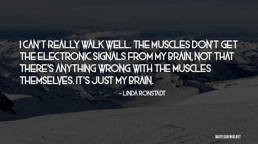 Tolerante Rulmenti Quotes By Linda Ronstadt Tolerante Rulmenti Quotes By Linda Ronstadt
