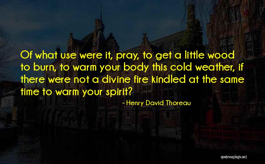 Toleranties Quotes By Henry David Thoreau