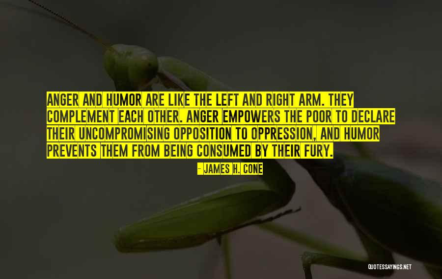 Tolerates Fools Quotes By James H. Cone Tolerates Fools Quotes By James H. Cone