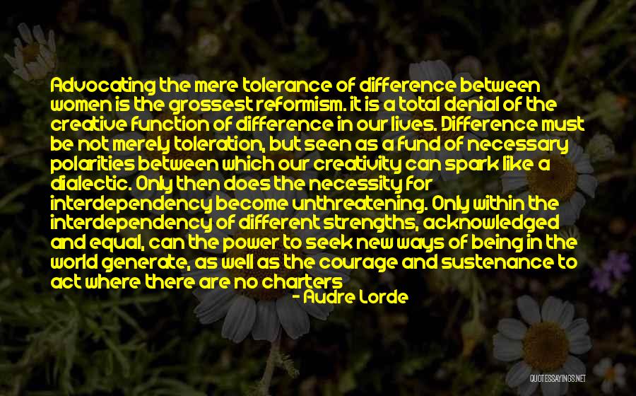 Toleration Quotes By Audre Lorde Toleration Quotes By Audre Lorde
