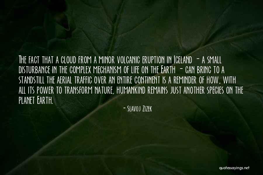 Tolete Significado Quotes By Slavoj Zizek