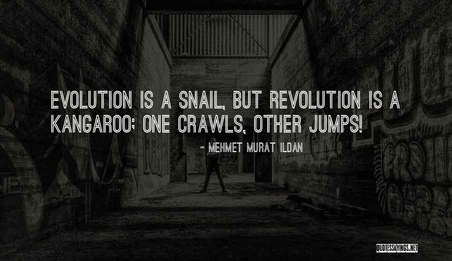 Tolga Tekin Quotes By Mehmet Murat Ildan